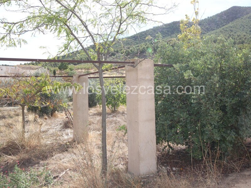 LVC508: Adosada en venta en Velez Rubio, Almería