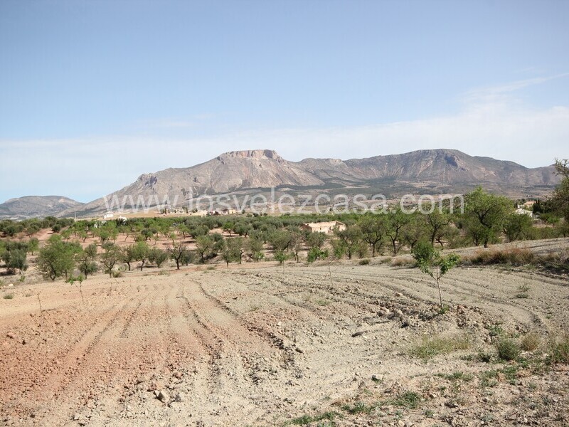 LVC516: Cortijo para Reformar en venta en Velez Rubio, Almería
