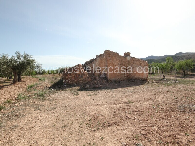 LVC516: Cortijo para Reformar en venta en Velez Rubio, Almería
