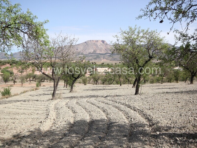 LVC516: Cortijo para Reformar en venta en Velez Rubio, Almería