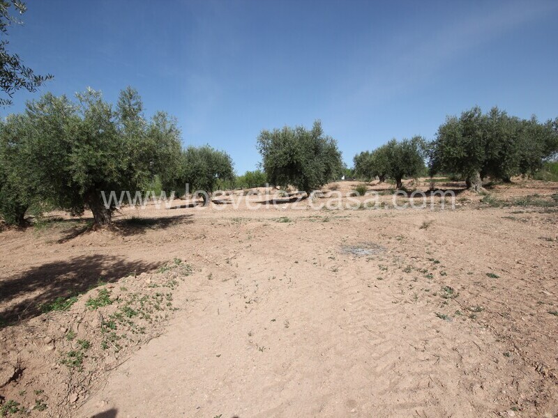 LVC516: Cortijo para Reformar en venta en Velez Rubio, Almería