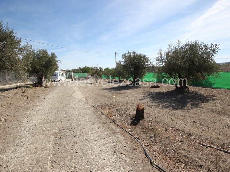 LVC517: Detached Character House for sale in Velez Rubio, Almería