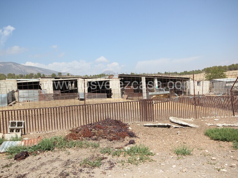 LVC527: Granja Pequeña en venta en La Parroquia, Murcia