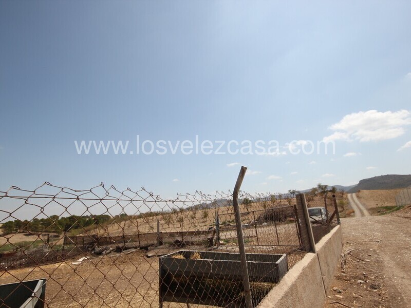 LVC527: Granja Pequeña en venta en La Parroquia, Murcia