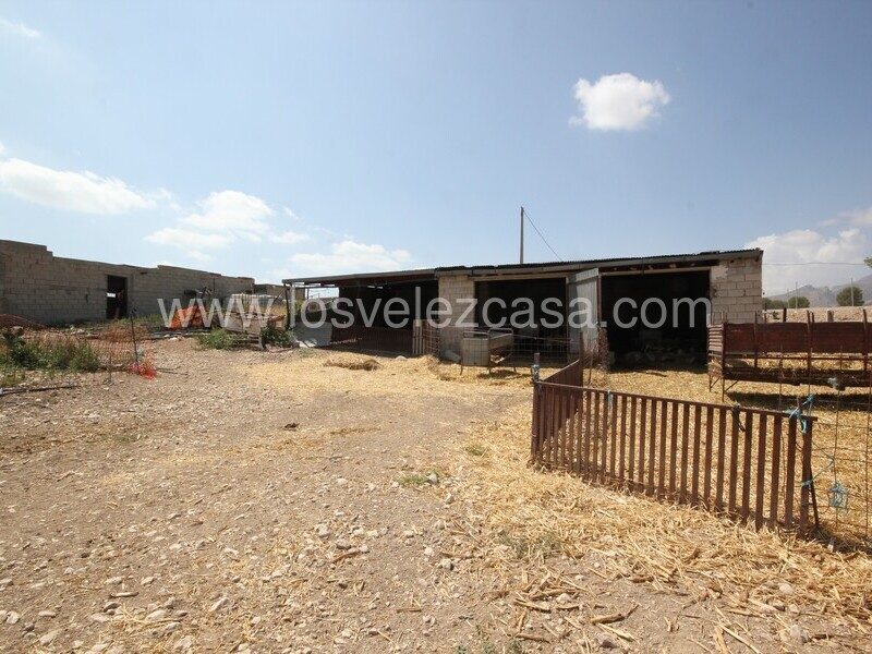 LVC527: Granja Pequeña en venta en La Parroquia, Murcia
