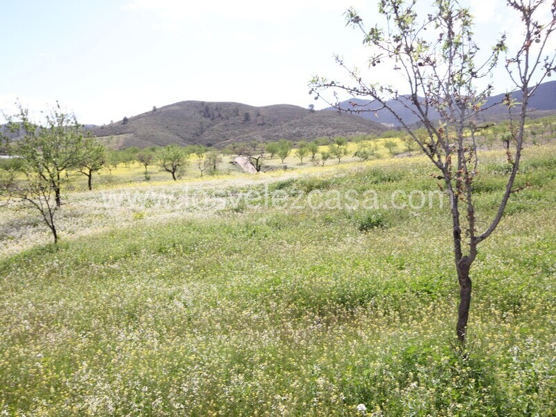 LVC533: Cortijo para Reformar en venta en Umbria, Murcia