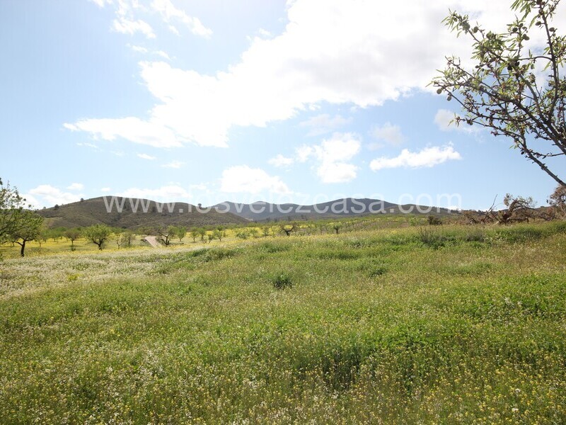 LVC533: Cortijo para Reformar en venta en Umbria, Murcia