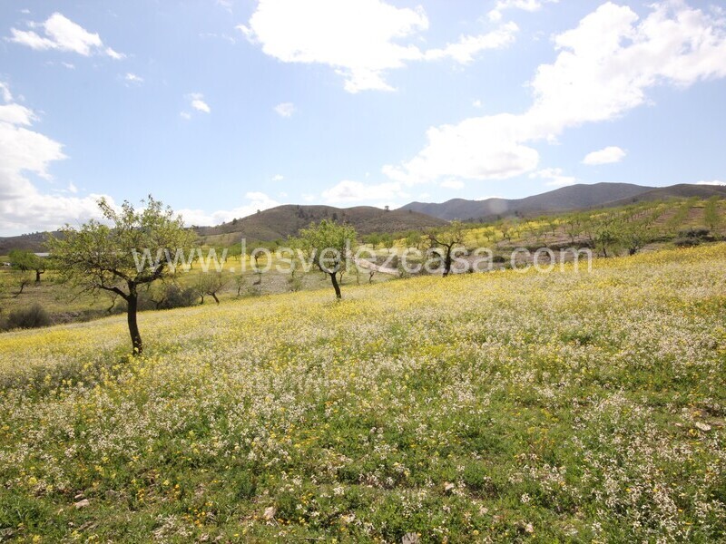 LVC533: Cortijo para Reformar en venta en Umbria, Murcia