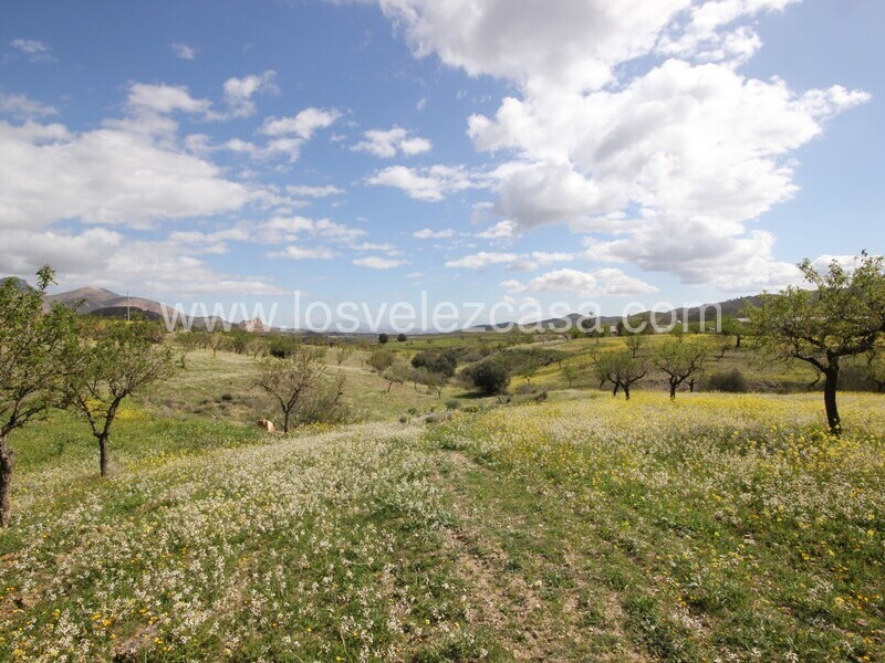 LVC533: Cortijo para Reformar en venta en Umbria, Murcia