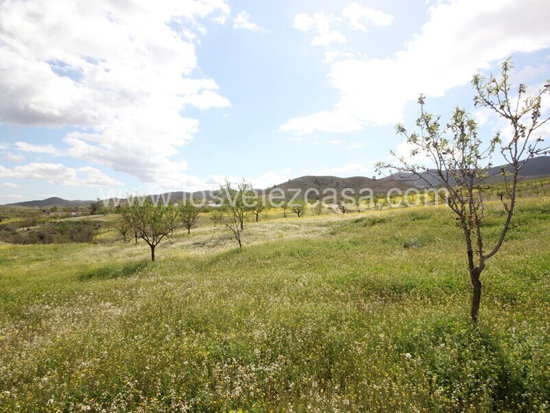 LVC533: Cortijo para Reformar en venta en Umbria, Murcia