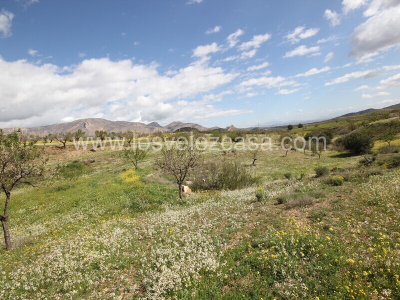 LVC533: Cortijo para Reformar en venta en Umbria, Murcia