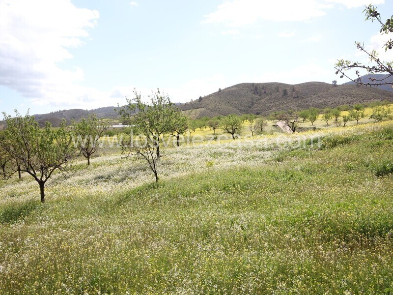 LVC533: Cortijo para Reformar en venta en Umbria, Murcia