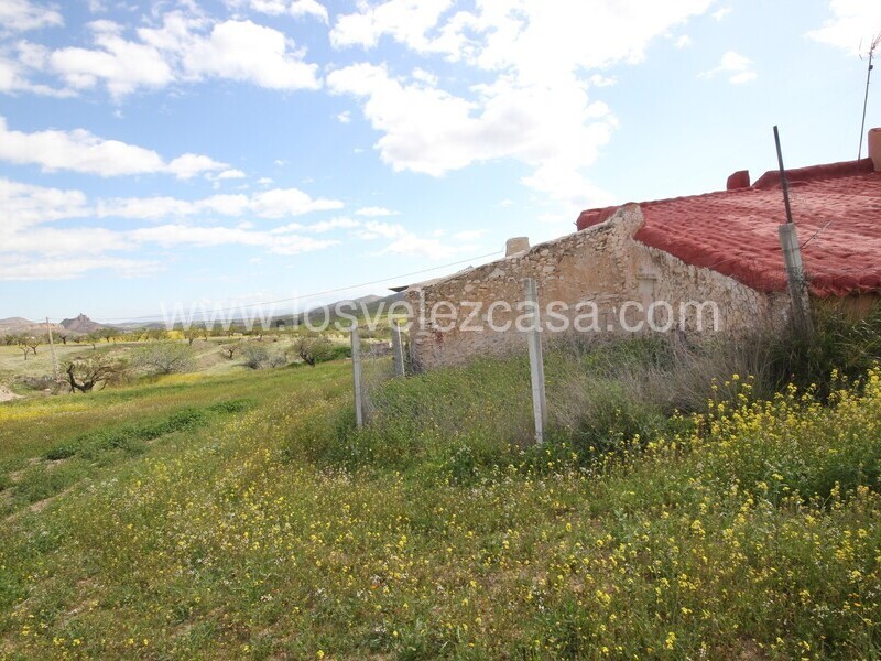 LVC533: Cortijo para Reformar en venta en Umbria, Murcia