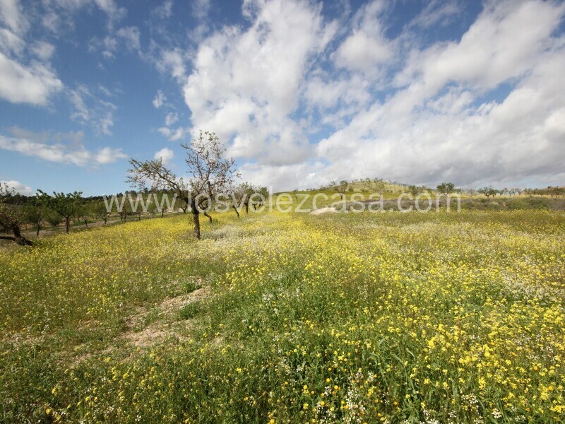 LVC533: Cortijo para Reformar en venta en Umbria, Murcia