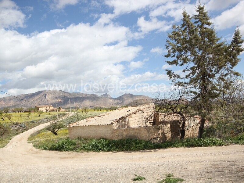 LVC533: Cortijo para Reformar en venta en Umbria, Murcia