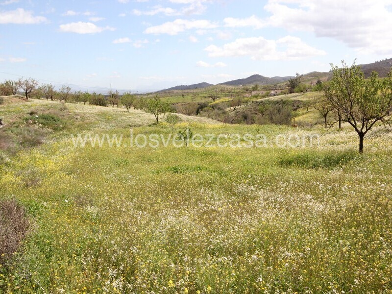 LVC533: Cortijo para Reformar en venta en Umbria, Murcia