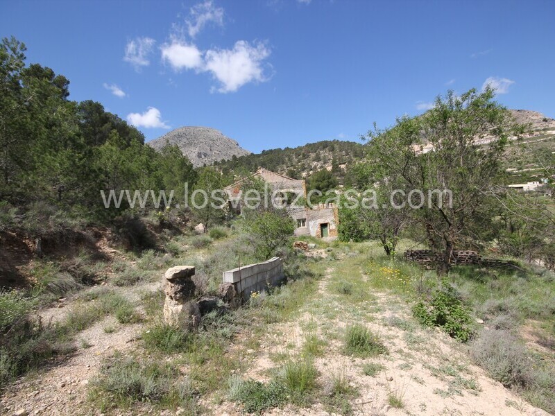 LVC534: Country Property to Reform for sale in Velez Blanco, Almería