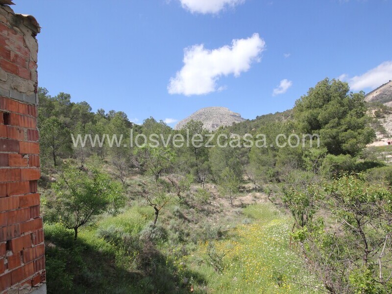 LVC534: Country Property to Reform for sale in Velez Blanco, Almería