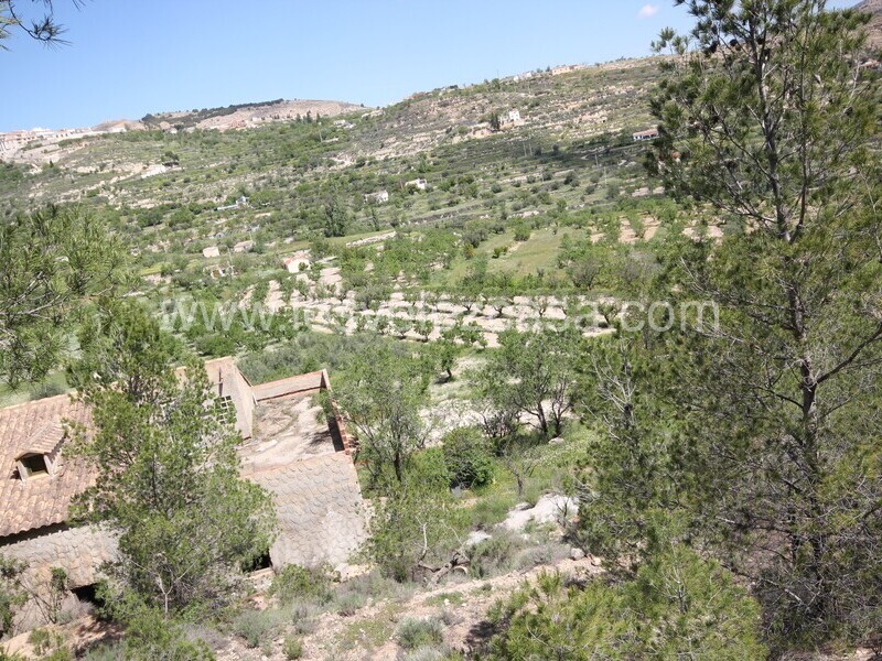 LVC534: Country Property to Reform for sale in Velez Blanco, Almería