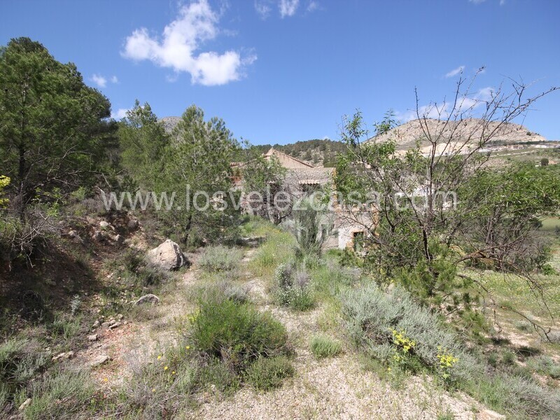 LVC534: Country Property to Reform for sale in Velez Blanco, Almería