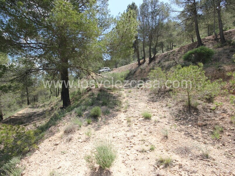LVC534: Country Property to Reform for sale in Velez Blanco, Almería