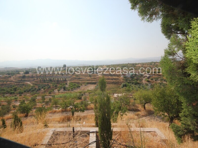 LVC535: Cortijo en venta en Velez Blanco, Almería