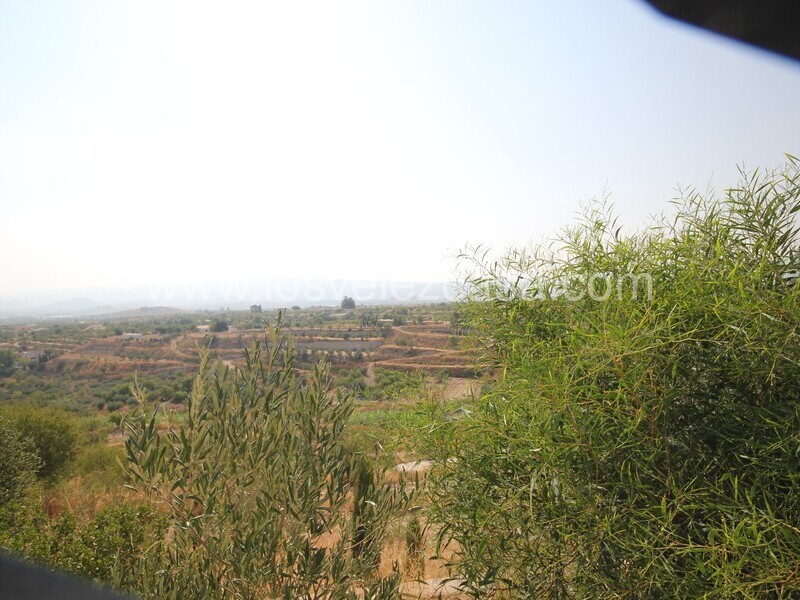 LVC535: Cortijo en venta en Velez Blanco, Almería