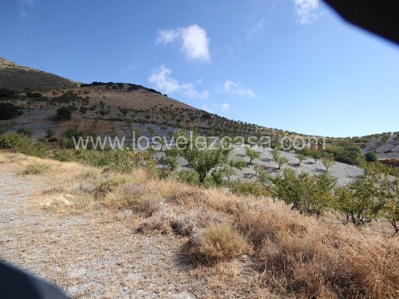 LVC536: Cortijo en venta en Bancalejo, Almería