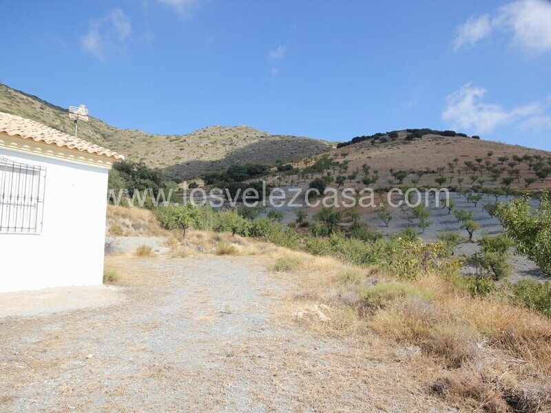 LVC536: Cortijo en venta en Bancalejo, Almería