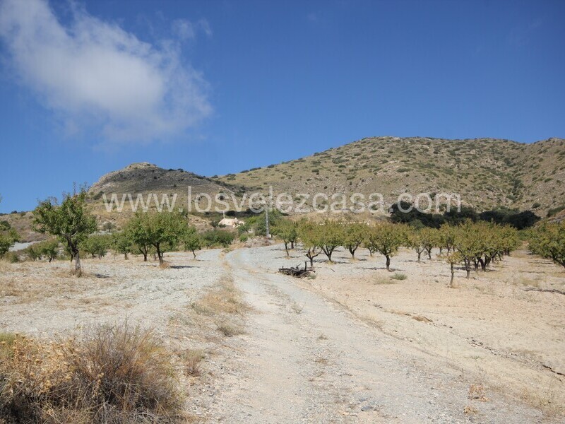 LVC536: Cortijo en venta en Bancalejo, Almería