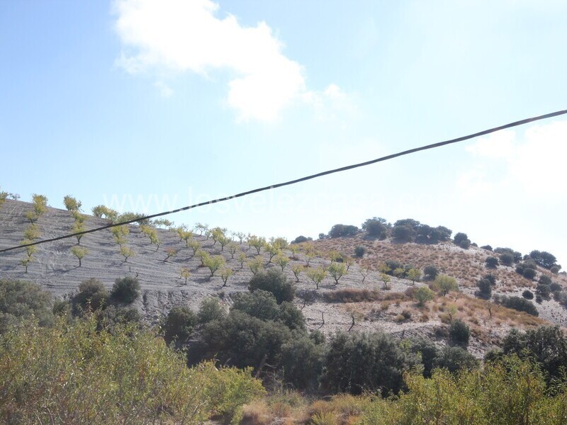 LVC538: Terreno en venta en Bancalejo, Almería