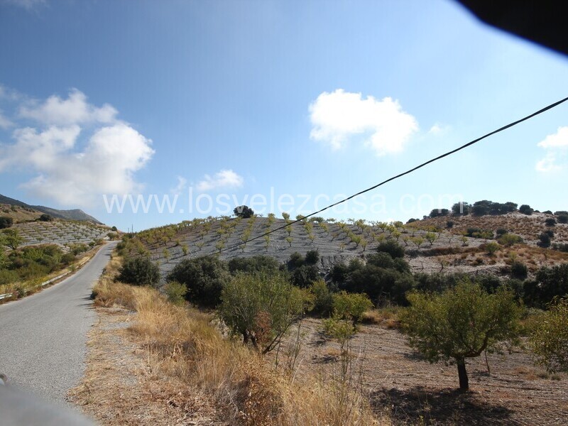 LVC538: Terreno en venta en Bancalejo, Almería