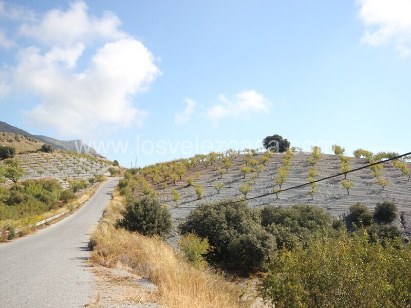 LVC538: Terreno en venta en Bancalejo, Almería