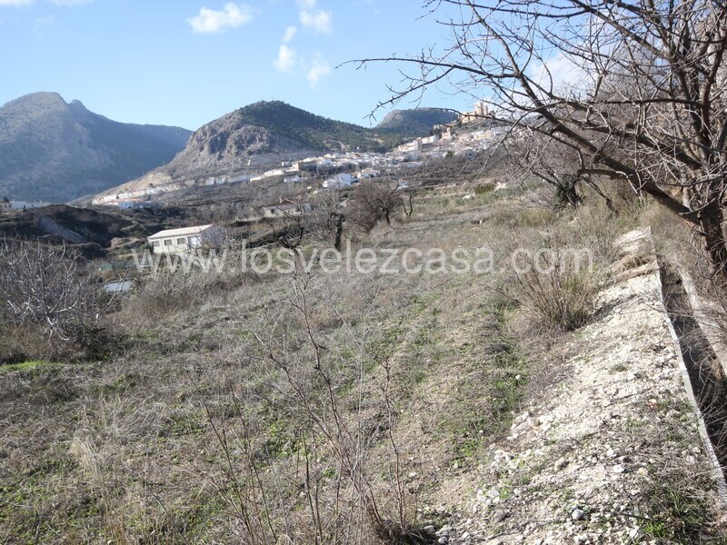 LVC539: Cortijo en venta en Velez Blanco, Almería