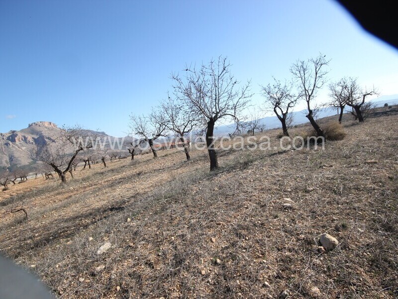 LVC539: Cortijo en venta en Velez Blanco, Almería