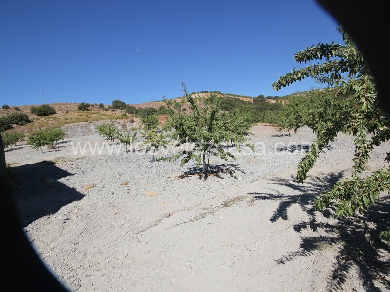 LVC543: Country Property to Reform for sale in Bancalejo, Almería