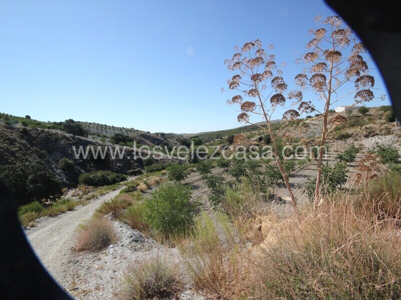 LVC543: Country Property to Reform for sale in Bancalejo, Almería