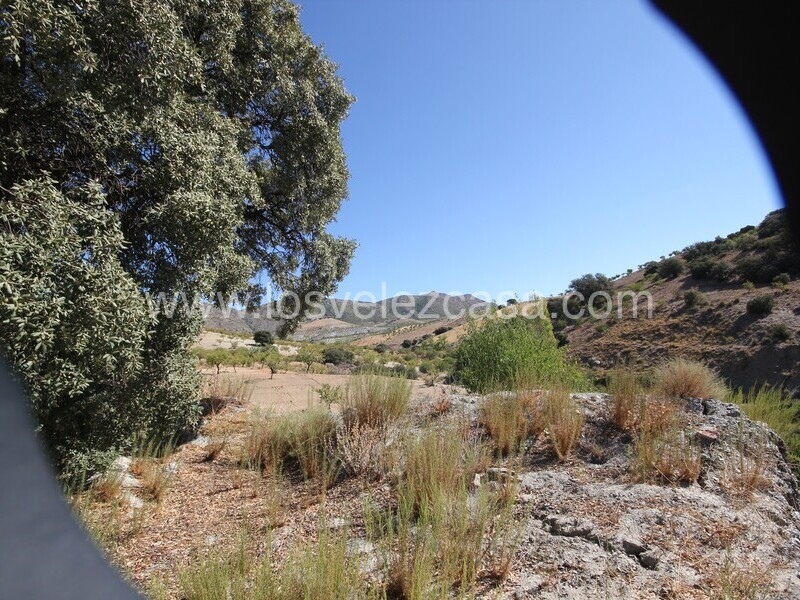 LVC543: Country Property to Reform for sale in Bancalejo, Almería