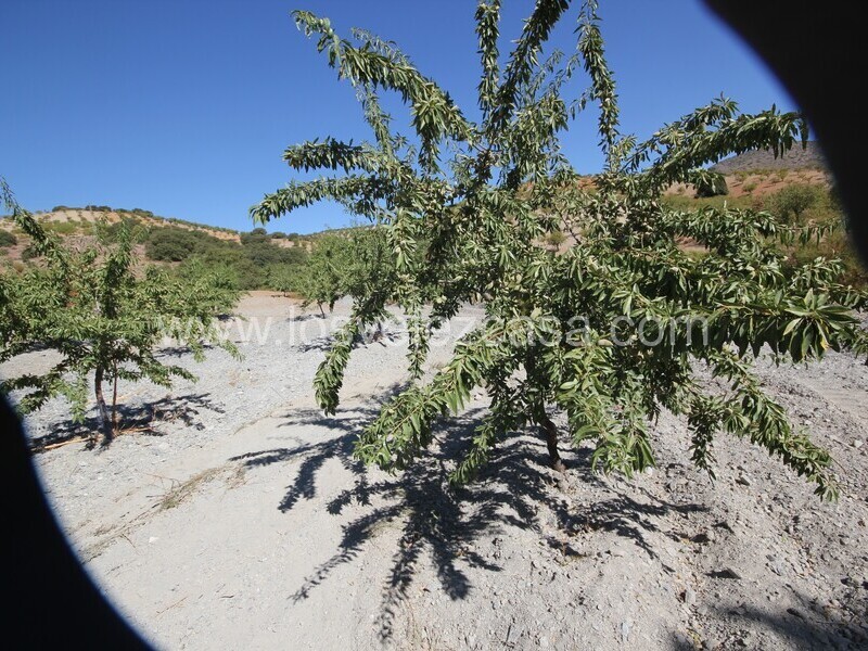 LVC543: Country Property to Reform for sale in Bancalejo, Almería