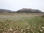 LVC333: , Land for sale in Velez-Rubio, Almera